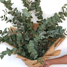 Load image into Gallery viewer, Eucalyptus Bouquet