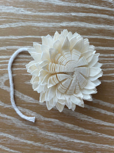 White Sola Flower