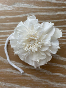 White Sola Flower
