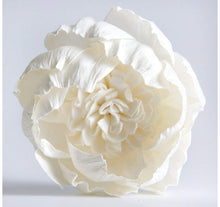 Cargar imagen en el visor de la galería, Peony Sola Flower Reed
