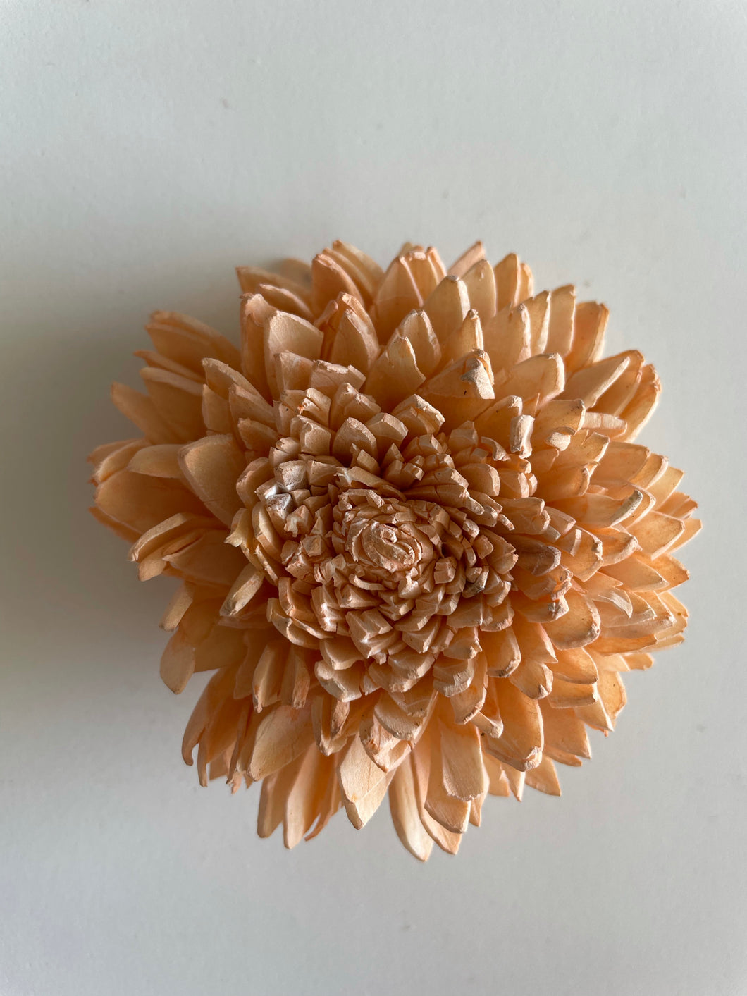 Wood Sola Flowers