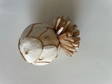 Load image into Gallery viewer, Wood Sola Flowers
