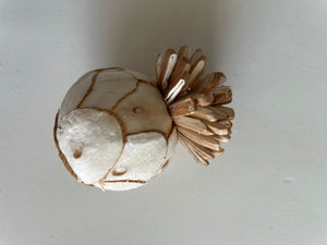 Wood Sola Flowers